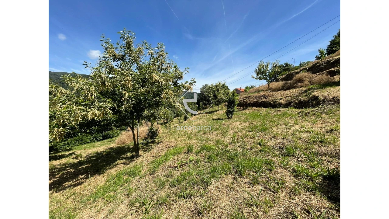 Terreno para Venda em Rio Frio Foto 13