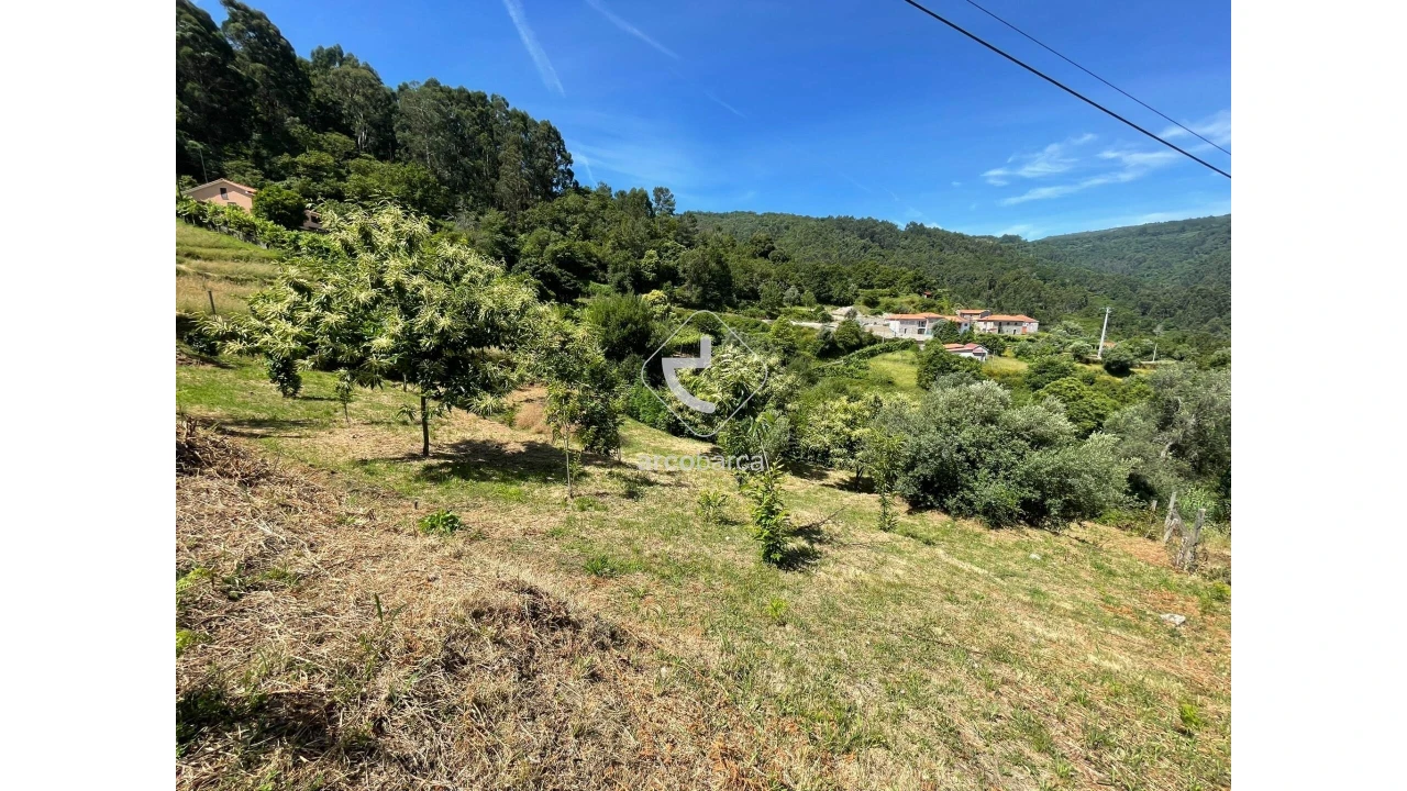 Terreno para Venda em Rio Frio Foto 21