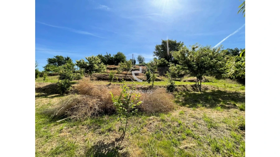 Terreno para Venda em Rio Frio Foto 17