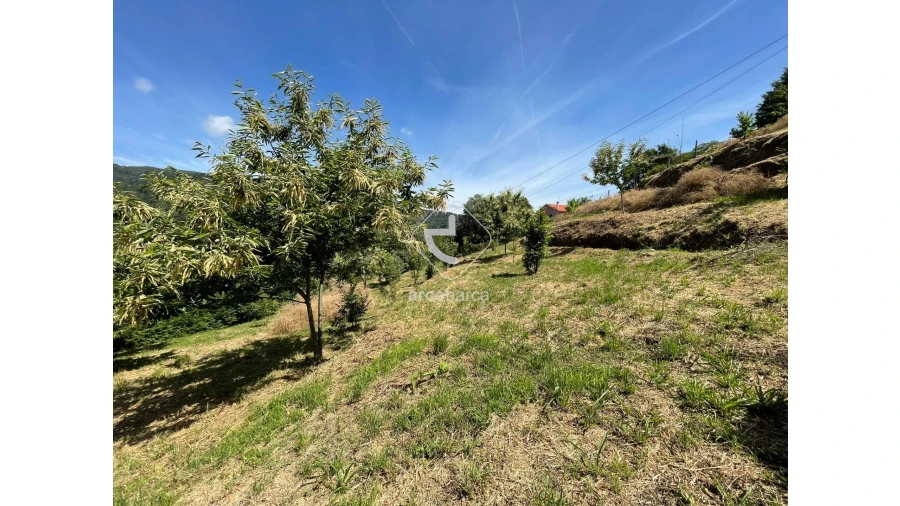 Terreno para Venda em Rio Frio Foto 13