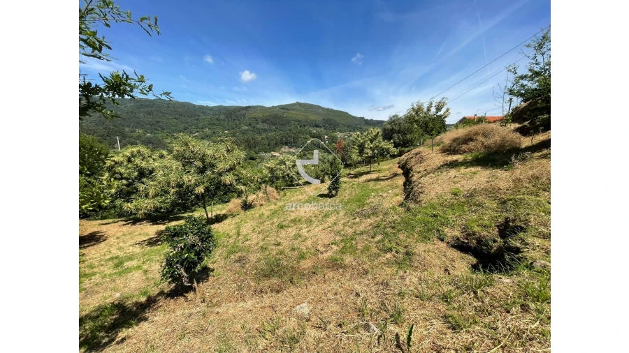 Terreno para Venda em Rio Frio Foto 11