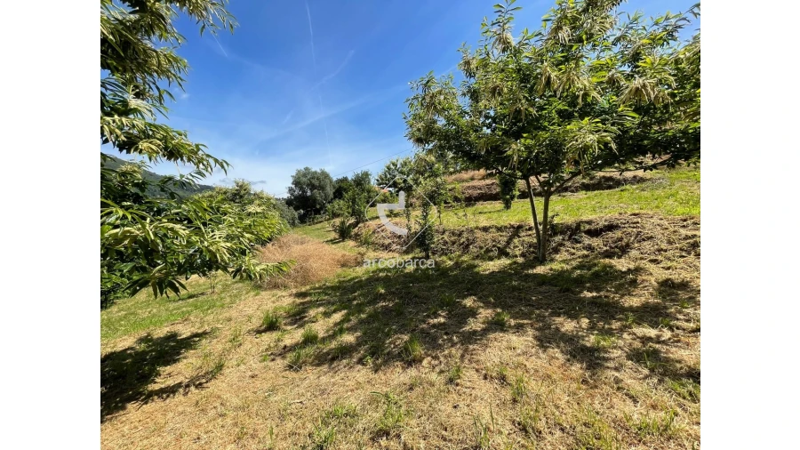 Terreno para Venda em Rio Frio Foto 15