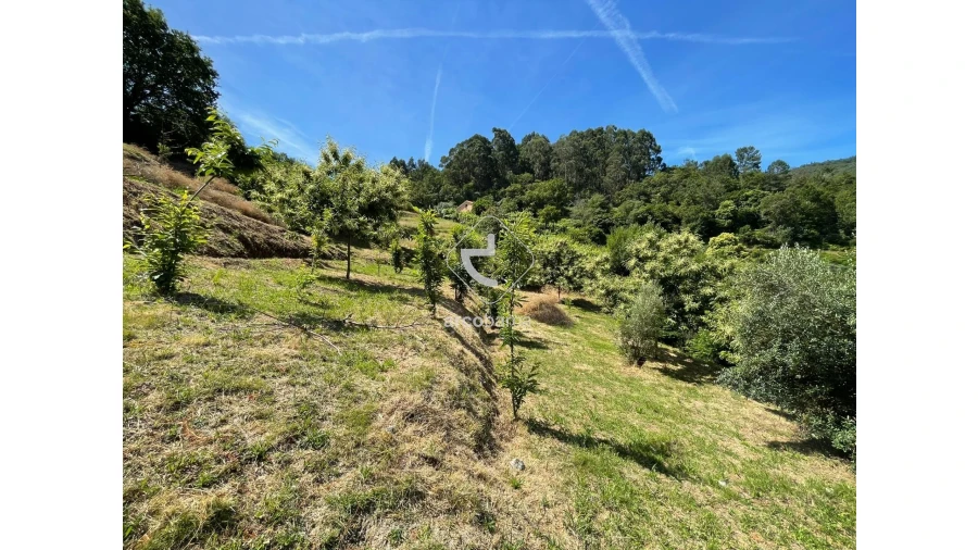 Terreno para Venda em Rio Frio Foto 19