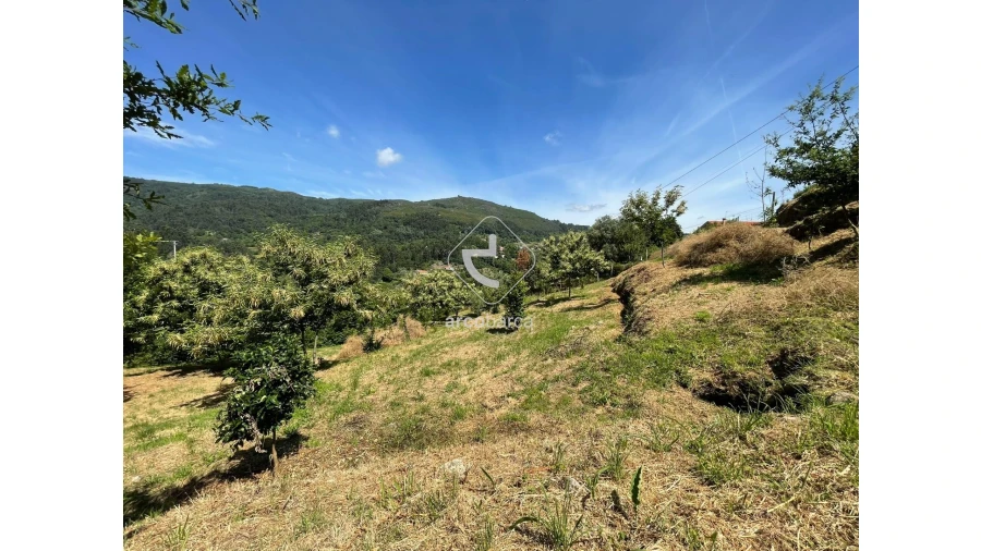 Terreno para Venda em Rio Frio Foto 12