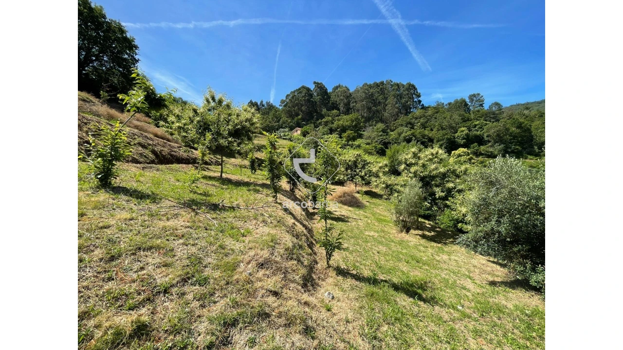 Terreno para Venda em Rio Frio Foto 19