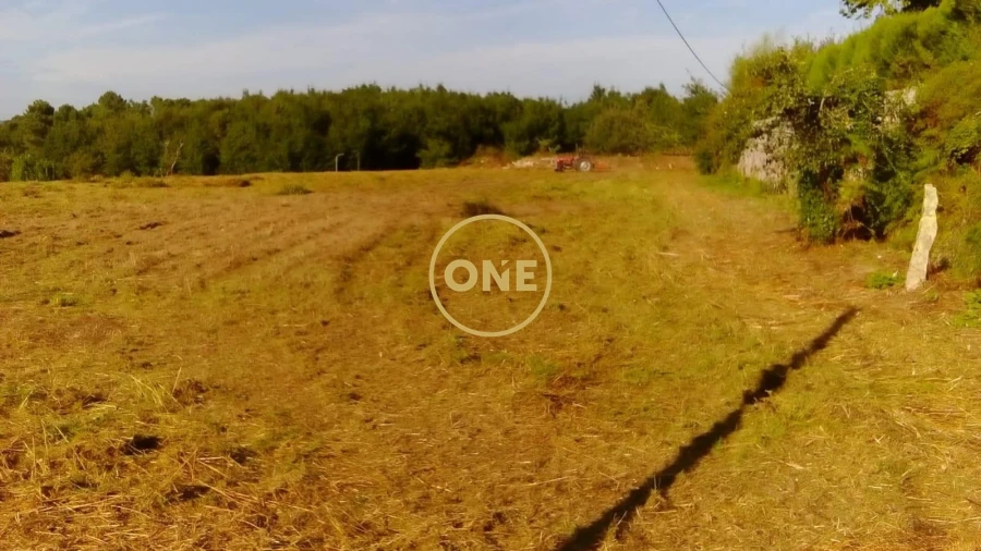 Terreno para Venda em Reboreda e Nogueira Foto 3