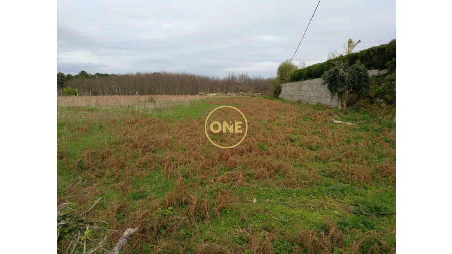 Terreno para Venda em Reboreda e Nogueira Foto 8