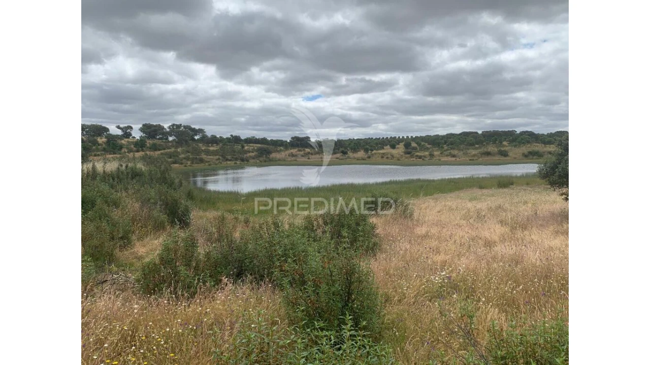 Quinta para Venda em Rosario Foto 18