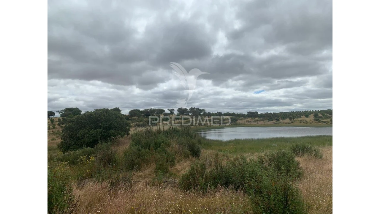 Quinta para Venda em Rosario Foto 17
