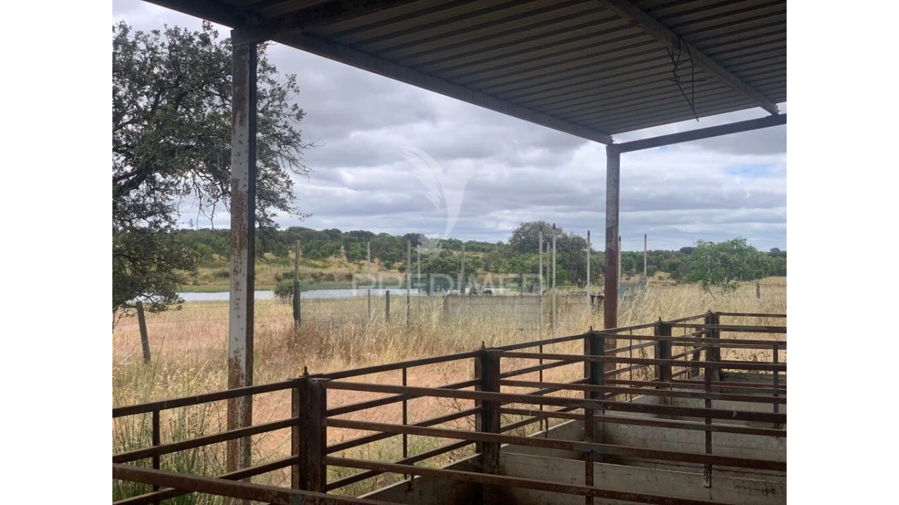 Quinta para Venda em Rosario Foto 9