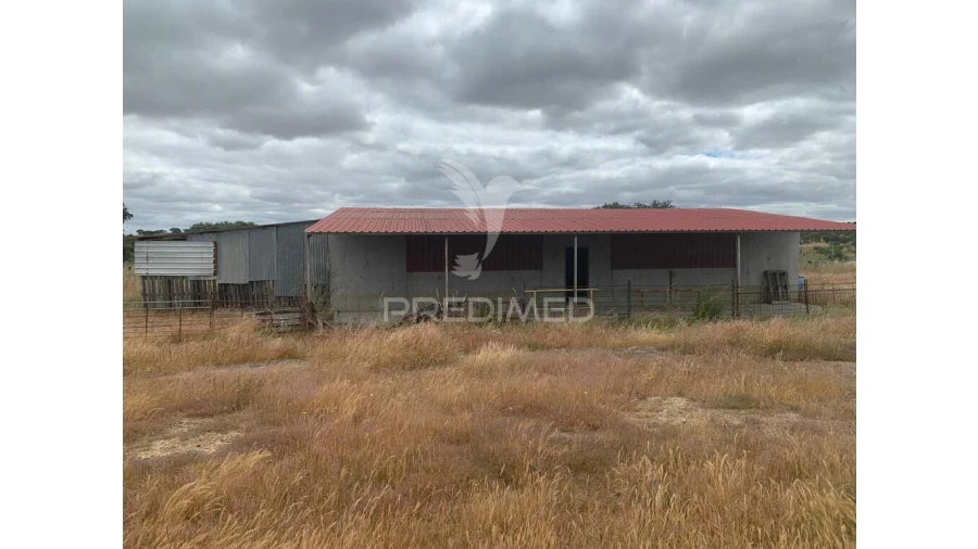 Quinta para Venda em Rosario Foto 15