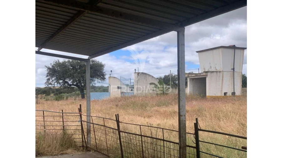 Quinta para Venda em Rosario Foto 12