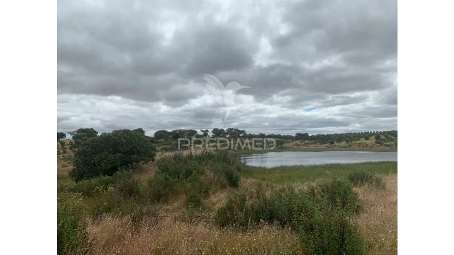 Quinta para Venda em Rosario Foto 17