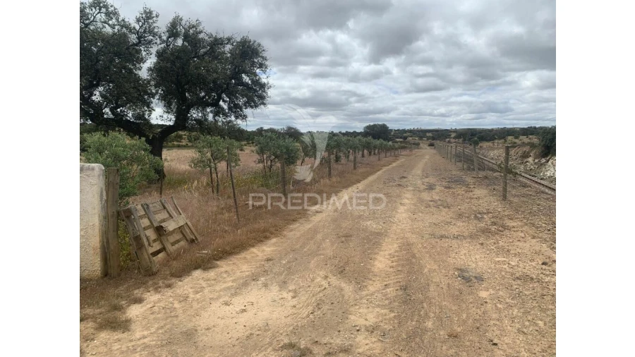 Quinta para Venda em Rosario Foto 20