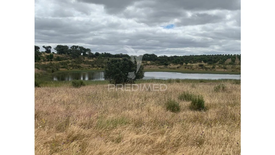 Quinta para Venda em Rosario Foto 19