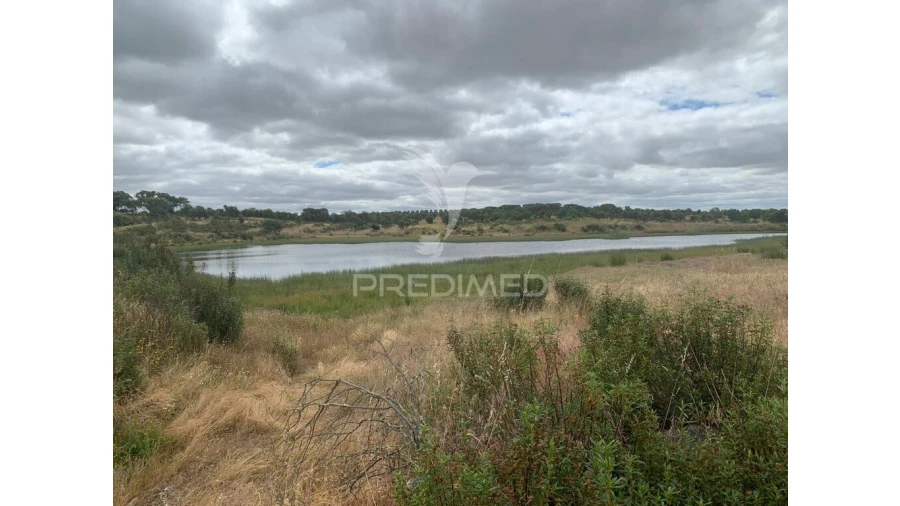 Quinta para Venda em Rosario Foto 16