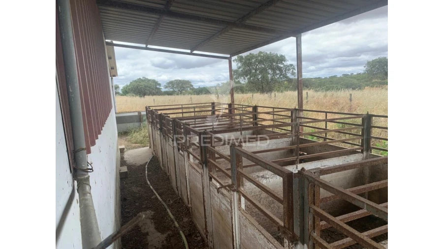 Quinta para Venda em Rosario Foto 8