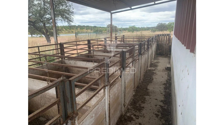 Quinta para Venda em Rosario Foto 11