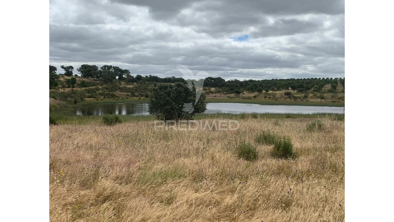 Quinta para Venda em Rosario Foto 19