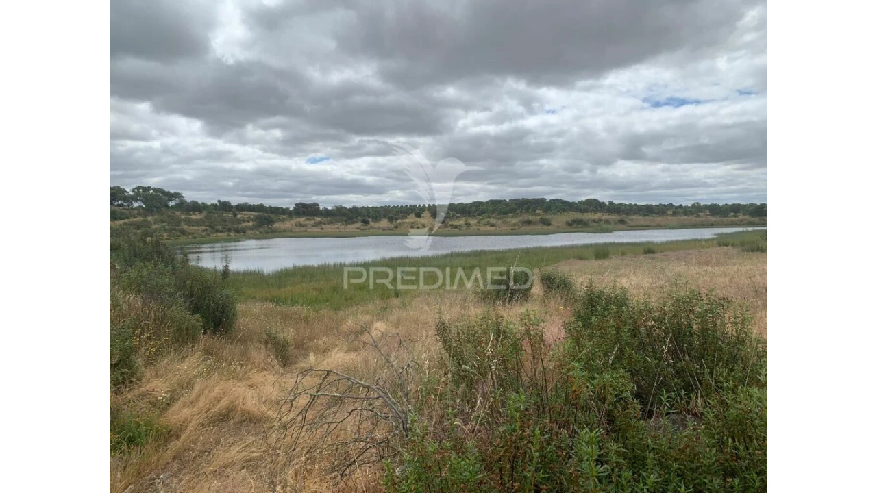 Quinta para Venda em Rosario Foto 16