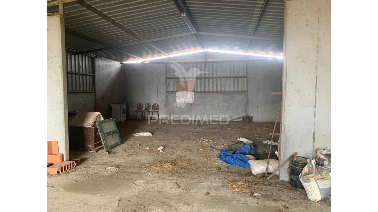 Quinta para Venda em Rosario Foto 4