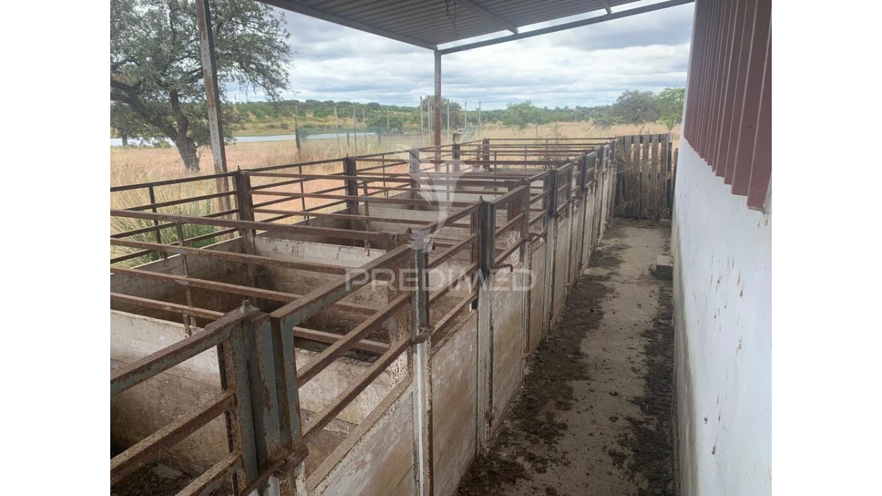 Quinta para Venda em Rosario Foto 11