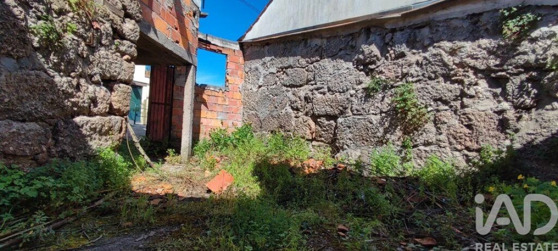 Moradia T2 para Venda em Santa Comba Dão e Couto do Mosteiro Foto 26