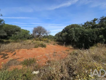 Terreno para Venda em Quarteira