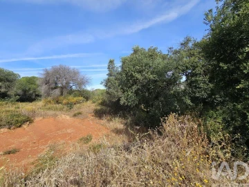 Terreno para Venda em Quarteira