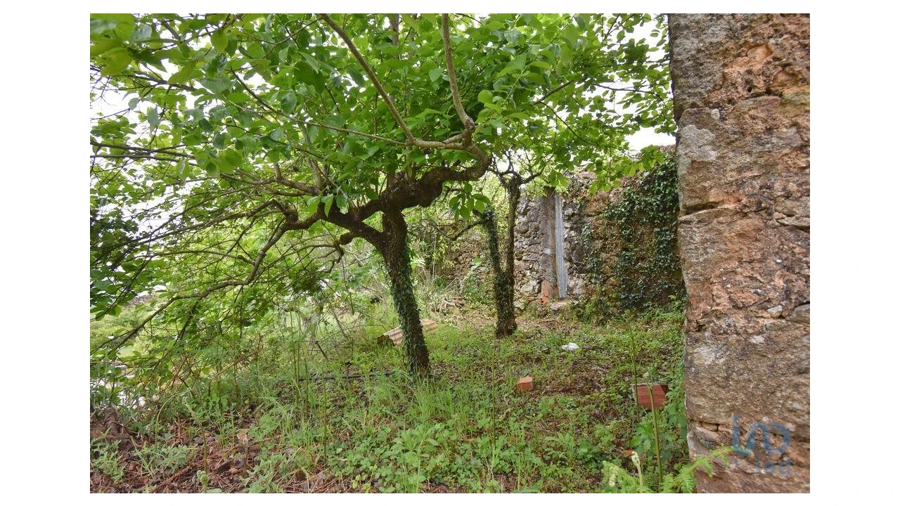 Moradia T4 para Venda em Vila Nova Foto 5