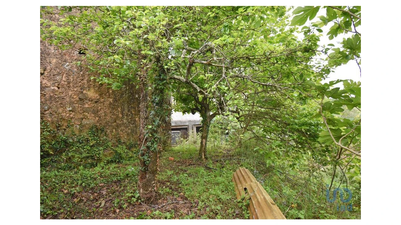 Moradia T4 para Venda em Vila Nova Foto 4