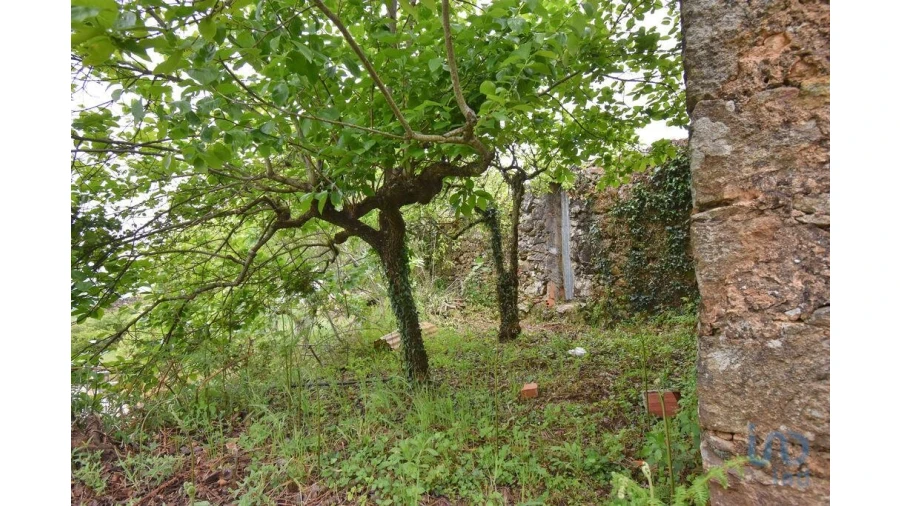 Moradia T4 para Venda em Vila Nova Foto 5