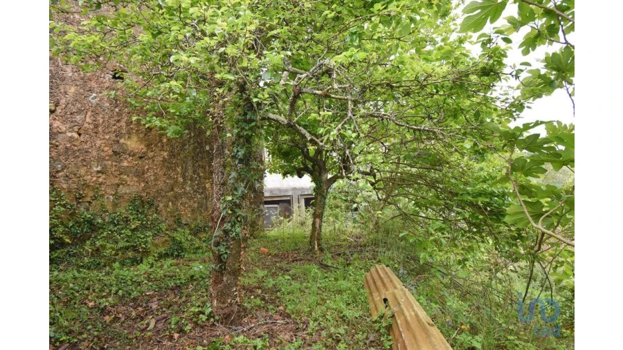 Moradia T4 para Venda em Vila Nova Foto 4