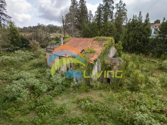 Quinta T3 para Venda em Santo Antonio da Serra Foto 3