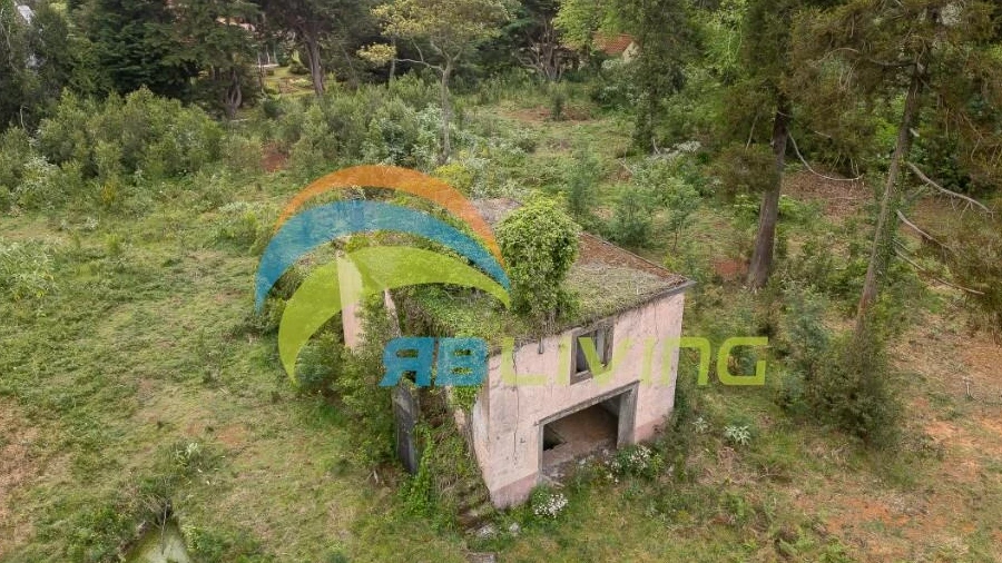 Quinta T3 para Venda em Santo Antonio da Serra