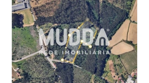 Terreno para Venda em São Miguel do Souto e Mosteirô