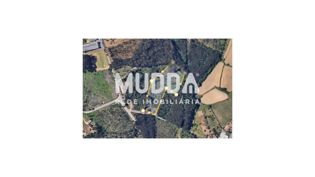 Terreno para Venda em São Miguel do Souto e Mosteirô Foto 1