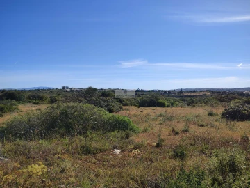 Terreno para Venda em Luz
