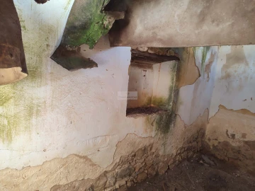 Terreno para Venda em Luz