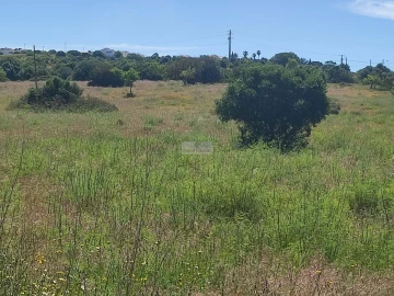 Terreno para Venda em Luz