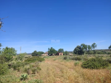 Terreno para Venda em Luz