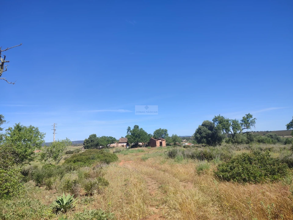 Terreno para Venda em Luz Foto 3