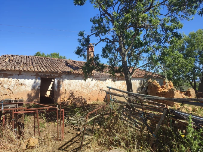 Terreno para Venda em Luz Foto 2