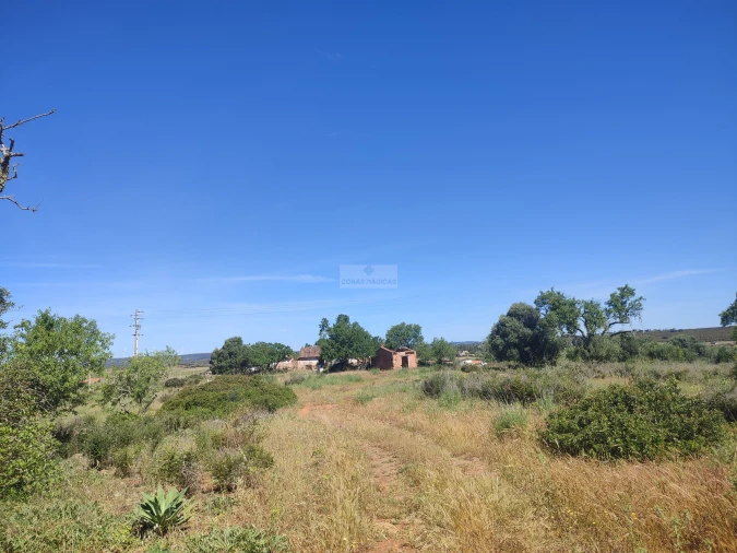 Terreno para Venda em Luz Foto 3