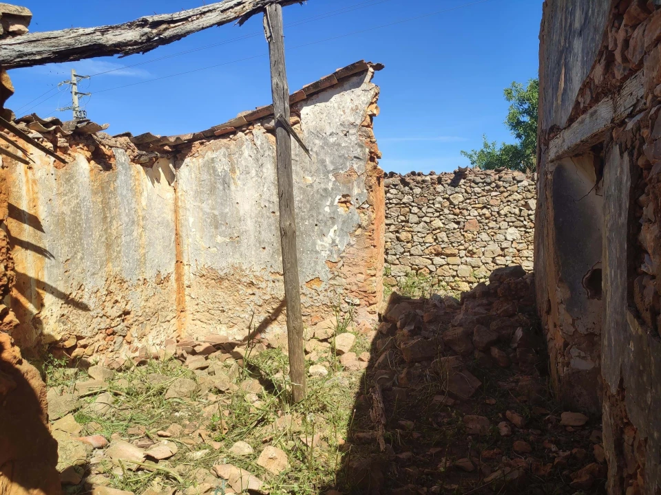Terreno para Venda em Luz Foto 20