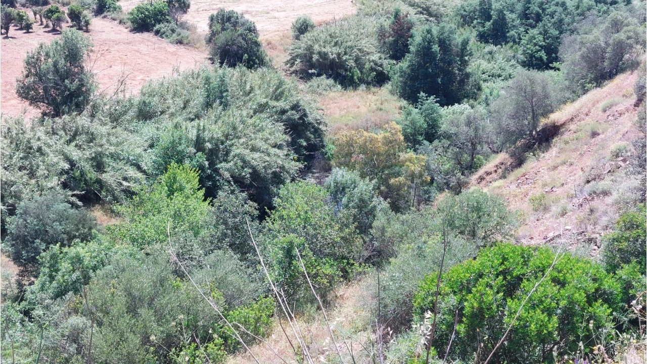 Quinta T2 para Venda em Alferce Foto 36