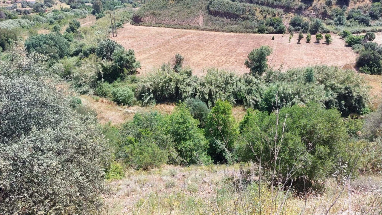 Quinta T2 para Venda em Alferce Foto 35
