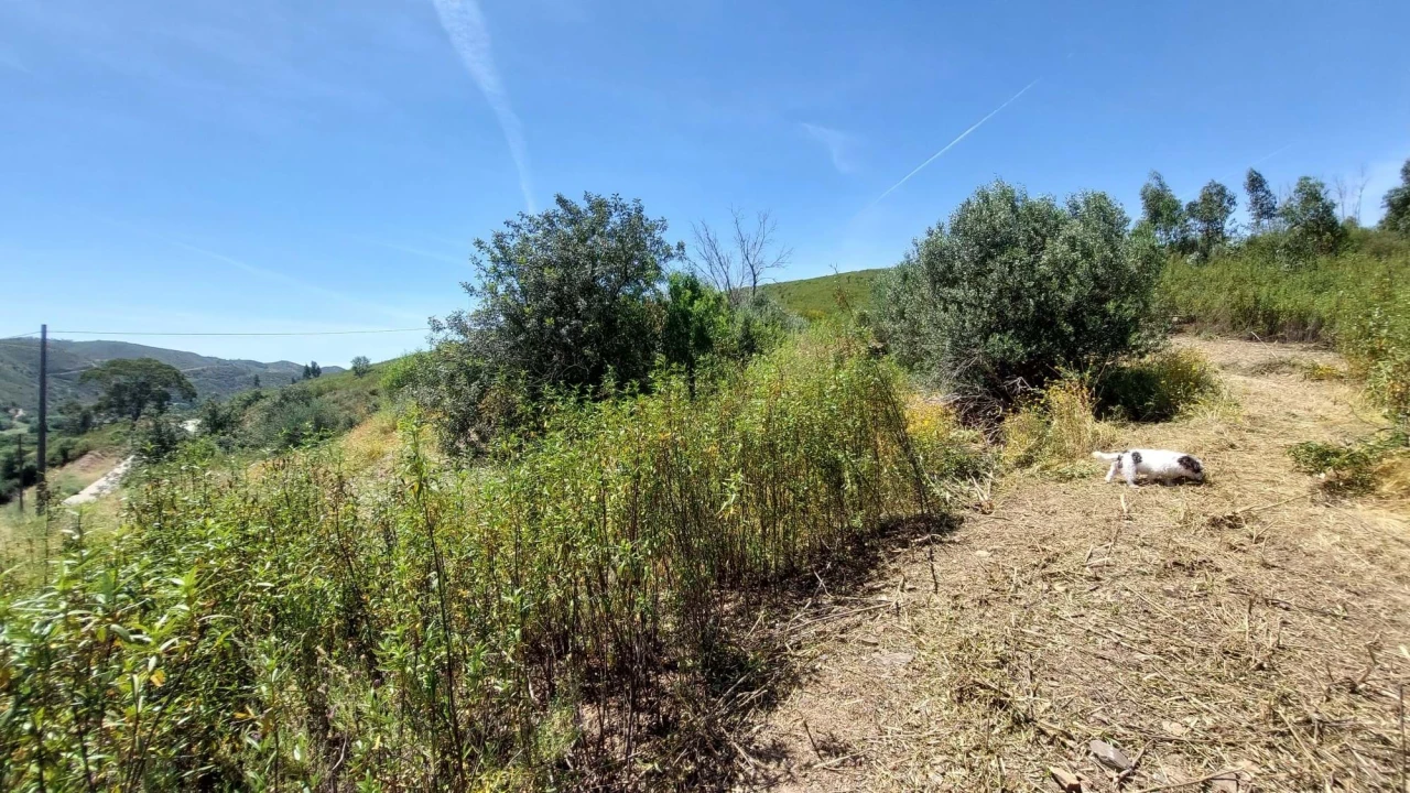 Quinta T2 para Venda em Alferce Foto 24