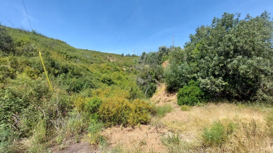 Quinta T2 para Venda em Alferce Foto 33