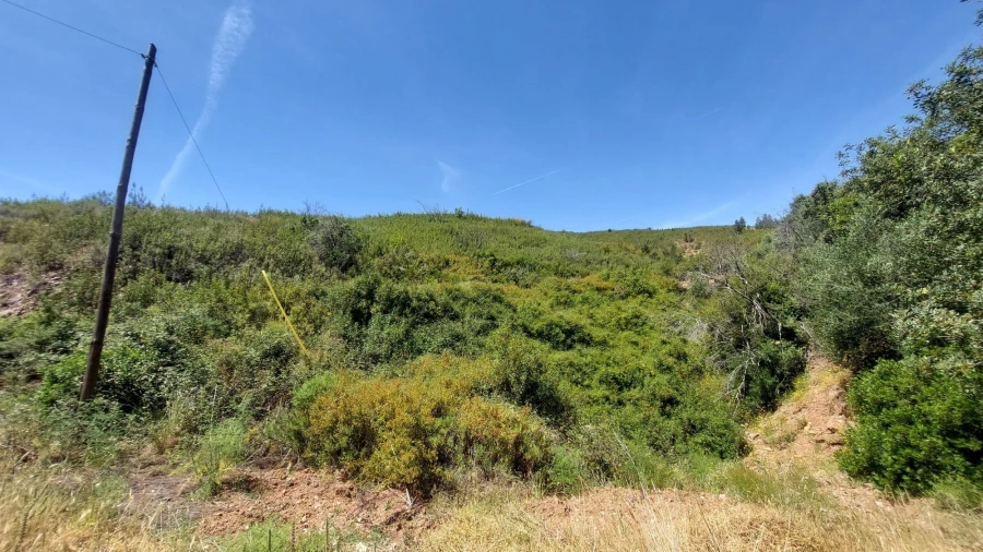 Quinta T2 para Venda em Alferce Foto 31